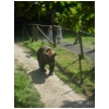 Zeltlager-2009 137.JPG